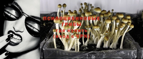 apvp Магас