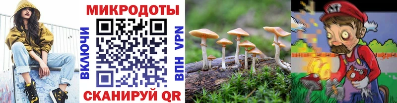 mega ТОР  Буй  Псилоцибиновые грибы Psilocybe 