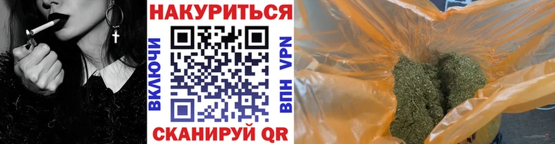 Каннабис планчик  Буй 